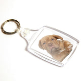 45 x 35mm A6 Insert Keyring - Pack of 50